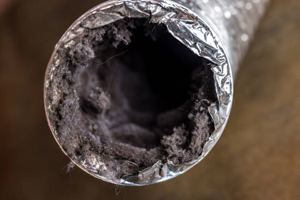 Best General Air Duct Cleaning  in Falfurrias, TX